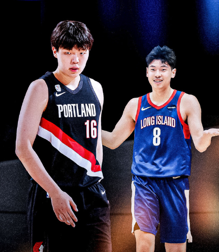 杨瀚森不算 杨瀚森不算